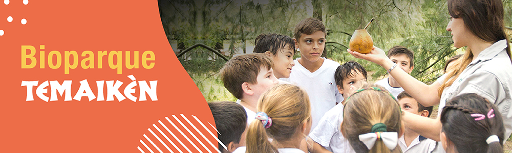 Catamaranes Tigre Educativo