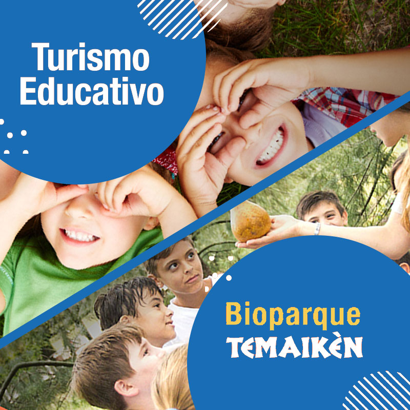 Educativo Catamaranes Tigre